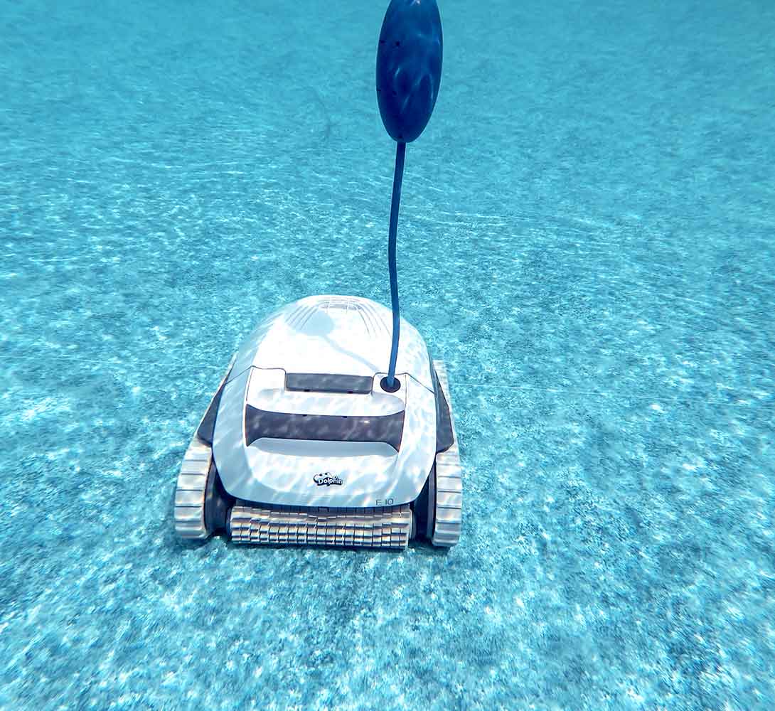 Dolphin E10