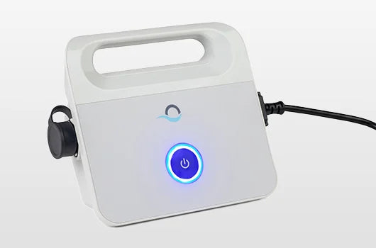 Dolphin E10